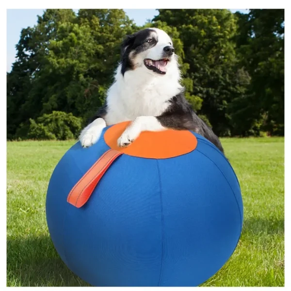 Dog toy inflatable big ball golden retriever bite-resistant ball teeth grinding stuffy ball funny pet training - Image 2