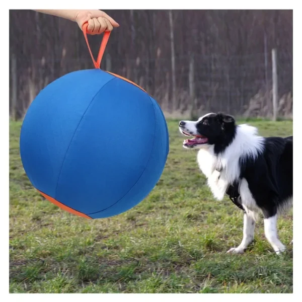 Dog toy inflatable big ball golden retriever bite-resistant ball teeth grinding stuffy ball funny pet training - Image 3