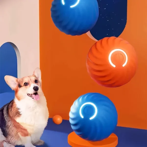 A Durable Dog Chew Toy That Automatically Rolls, A Pet Teeth Grinding Toy, A Gravity Jumping Ball Toy, And A Dog Interactive Acc